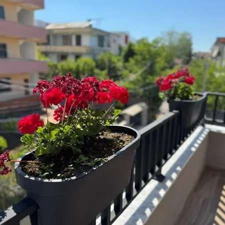 55 * Tirana